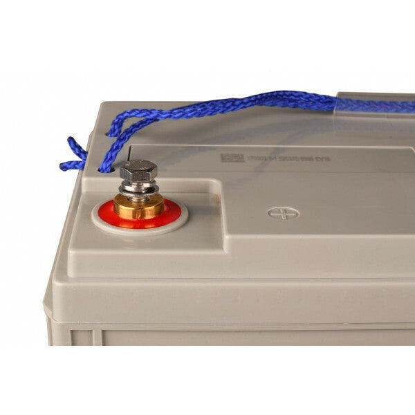 Victron energy 12V 100Ah AGM accu