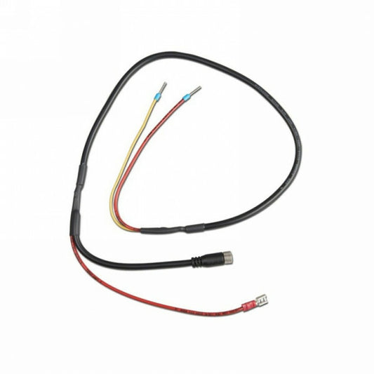 VE.Bus BMS to BMS 12-200 Victron energie